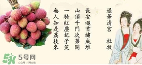 貴妃荔枝是哪里的？貴妃荔枝的產(chǎn)地是哪里