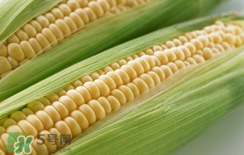 水果玉米熱量高嗎？一根水果玉米的熱量是多少