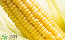 水果玉米是轉(zhuǎn)基因的嗎？水果玉米可以生吃嗎