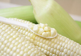 糯玉米是轉(zhuǎn)基因嗎？糯玉米是不是轉(zhuǎn)基因