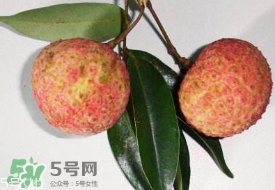 雞嘴荔枝多少錢一斤2017？香山雞嘴荔枝什么價(jià)錢