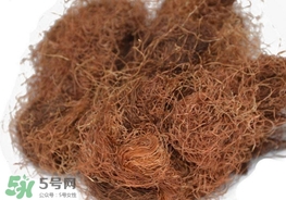 玉米須怎樣保存？玉米須可以曬干保存嗎？