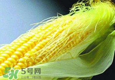 玉米須怎么吃降血糖？玉米須如何降血糖