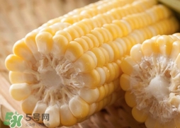 水果玉米多少錢一斤2017？水果玉米市場(chǎng)價(jià)格