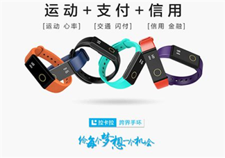 拉卡拉手環(huán)多少錢？拉卡拉手環(huán)價格