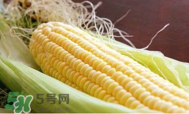 水果玉米是甜玉米嗎？水果玉米和甜玉米的區(qū)別