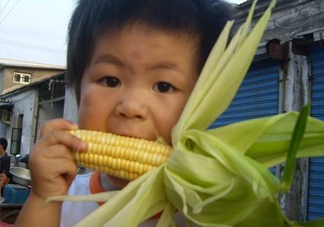 水果玉米是甜玉米嗎？水果玉米和甜玉米的區(qū)別