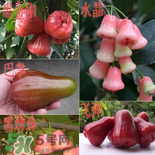 蓮霧什么季節(jié)吃最好？什么品種的蓮霧最好吃