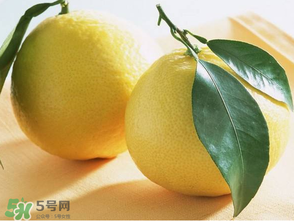 六月份還有柚子嗎？六月份哪里能買到柚子？