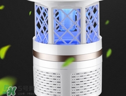 滅蚊燈可以滅蒼蠅嗎？滅蚊燈可以滅飛蛾嗎