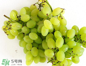 青提什么時候成熟？青提什么時候上市？