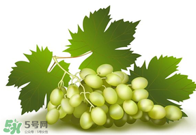 青提不能和什么一起吃？青提哪些人不能吃？