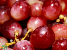 提子什么季節(jié)成熟？提子什么時(shí)候上市？