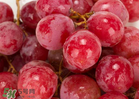 提子什么季節(jié)成熟？提子什么時(shí)候上市？