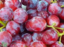 提子一天吃多少？提子一天吃幾個？