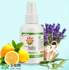 Lafe's驅(qū)蚊噴霧怎么樣？Lafe's有機防蚊液好用嗎？