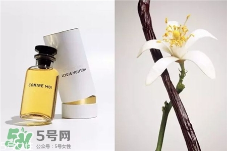 lv香水都是什么味道?lv香水哪款最好聞? lv香水都是什么味道?lv香水哪款最好聞?