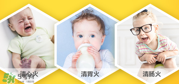 美林菊花晶有幾種？美林菊花晶種類介紹