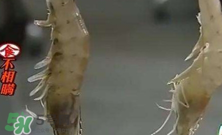 福爾馬林對人體有什么傷害？如何去除食物中的福爾馬林