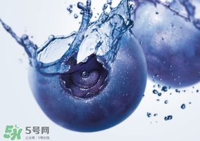 藍莓熱量高嗎？藍莓醬熱量高嗎？