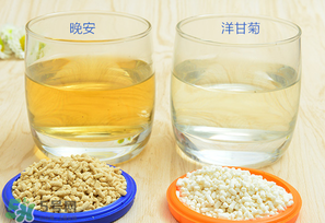 美林菊花晶一天喝幾次？美林菊花晶一天喝多少？