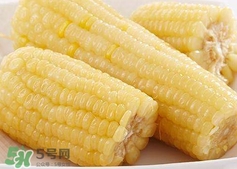 糯玉米怎么保存時間長？新鮮的糯玉米如何保存