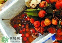 荔枝為什么要用藥水泡？荔枝藥水浸泡是否安全？