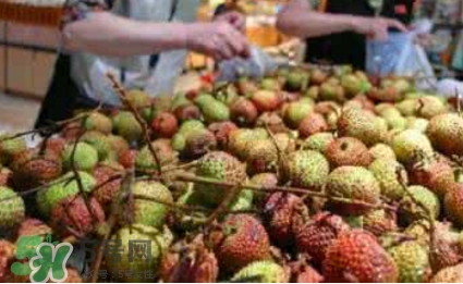 荔枝泡藥水是怎么回事？如何識別泡過藥水的荔枝