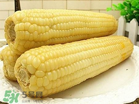 糯玉米有哪些營(yíng)養(yǎng)？糯玉米可以減肥嗎