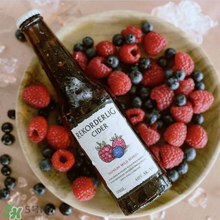 果酒有哪些品牌好喝 國外果酒品牌推薦 果酒有哪些品牌好喝 國外果酒品牌推薦