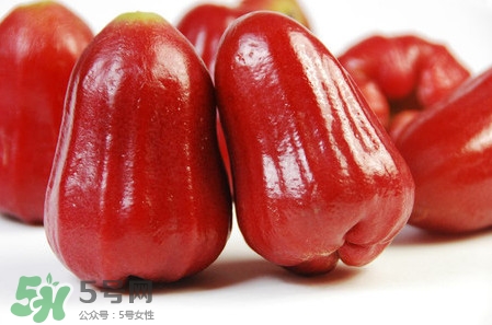 黑珍珠蓮霧多少錢一斤2017？黑珍珠蓮霧產(chǎn)地是哪里