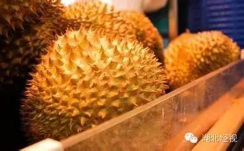 電蚊拍可以帶上火車嗎？電蚊拍可以帶上動車嗎？