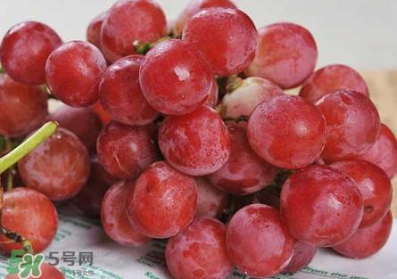 提子為什么會澀？提子澀怎么辦是沒熟嗎？