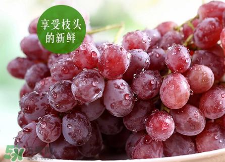 提子為什么會澀？提子澀怎么辦是沒熟嗎？