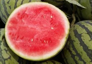 8424西瓜怎么挑？8424西瓜怎么辨別生熟？