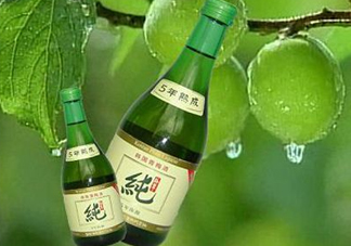 青梅酒泡多久可以喝？青梅酒好喝嗎？