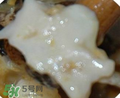 面包蟹是哪里產(chǎn)的？面包蟹哪里不能吃圖解