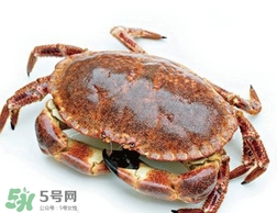 面包蟹好吃還是梭子蟹？面包蟹和梭子蟹的區(qū)別