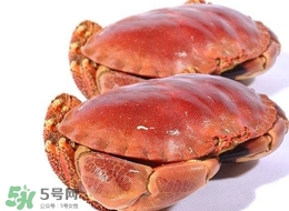 面包蟹為什么那么多黃？面包蟹為什么不能清蒸