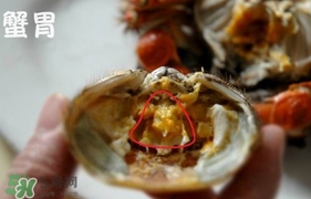 面包蟹是哪里產(chǎn)的？面包蟹哪里不能吃圖解