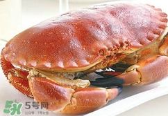 熟凍面包蟹好吃嗎？面包蟹是鮮活的好還是熟凍的好