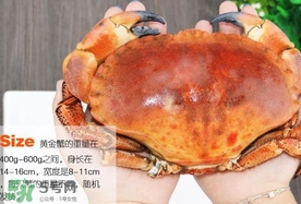 速凍面包蟹如何處理？活面包蟹怎么處理清洗