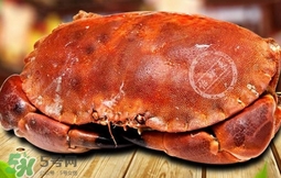 面包蟹可以直接冷凍么？熟凍面包蟹需要處理嗎