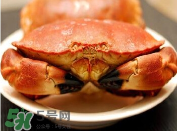 熟凍面包蟹怎么解凍？熟凍面包蟹要怎么清洗