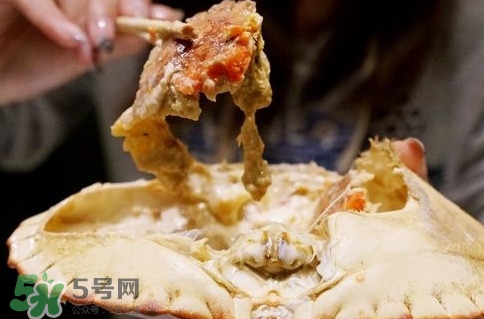 面包蟹什么季節(jié)吃最好？面包蟹什么時(shí)候最有黃