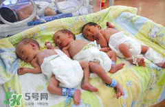 早產(chǎn)兒要喝早產(chǎn)兒奶粉嗎？早產(chǎn)兒最好喝什么奶？