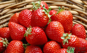 6月份還有草莓嗎？草莓6月份還有嗎？