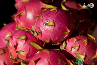 6月份有什么水果？6月份有哪些水果？