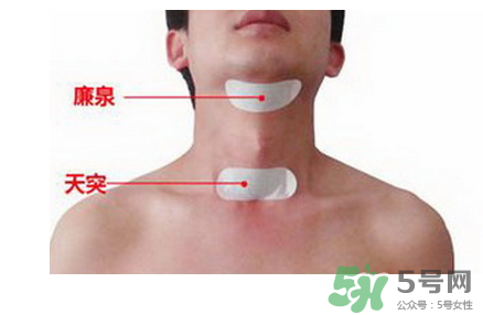 三伏貼貼在什么位置？三伏貼貼哪里？