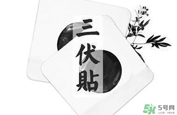 貼三伏貼注意事項(xiàng) 貼三伏貼要注意什么？